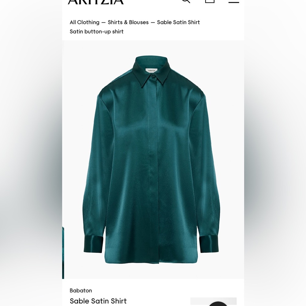 Aritzia Babaton Sable Button Down Shirt
